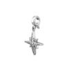 Colgante Charm Estrella Polar