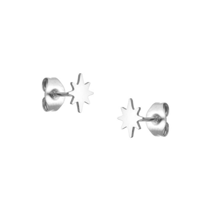 Pendientes Estrellas Polares