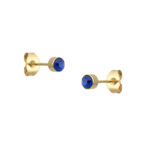 Lucia Gold Earrings