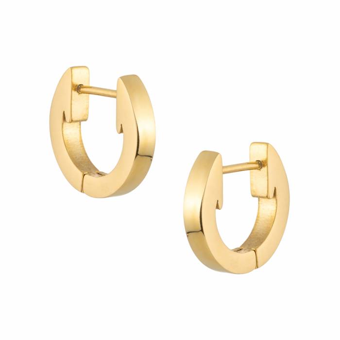 Lena Gold Hoop Earrings